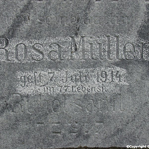 Müller Rosa