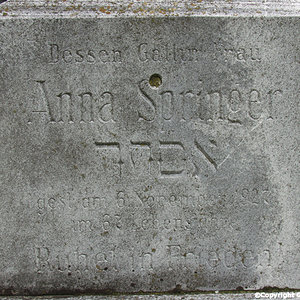 Springer Anna