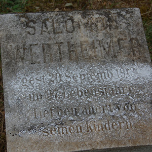 Wertheimer Salomon