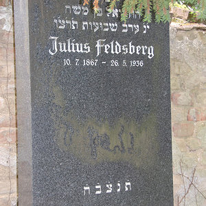 Feldsberg Julius