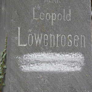 Löwenrosen Leopold