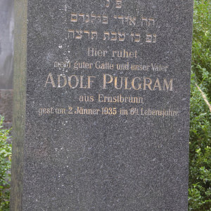 Pulgram Adolf