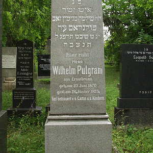 Pulgram Wilhelm