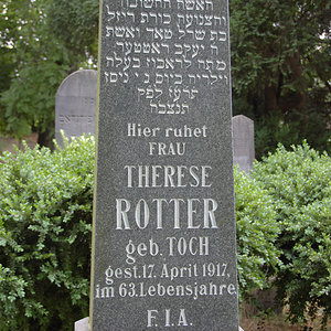 Rotter Therese