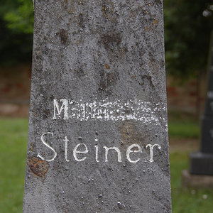 Steiner M.