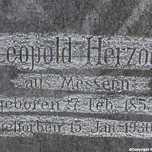 Herzog Leopold