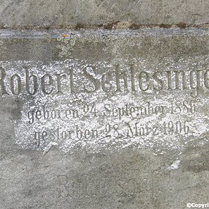 Schlesinger Robert
