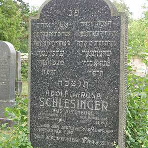 Schlesinger Rosa