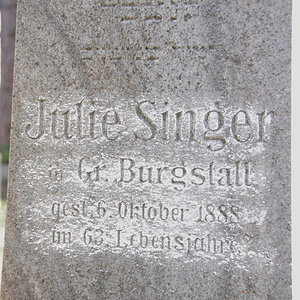 Singer Julie