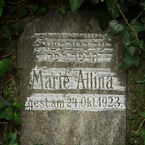 Allina Marie