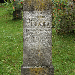 Birnbaum Hermann