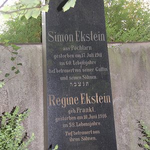 Ekstein Regine