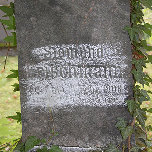 Frischmann Sigmund