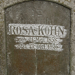 Kohn Rosa