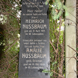 Nussbaum Amalie