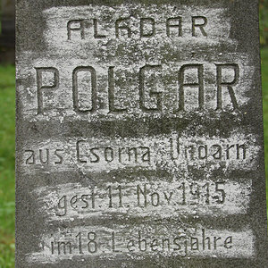 Polgar Algdar