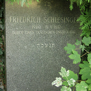 Schlesinger Friedrich