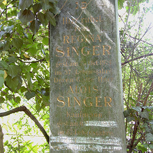 Singer Regina