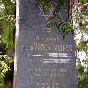 Steiner Viktor Dr.