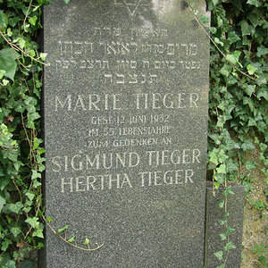 Tieger Marie