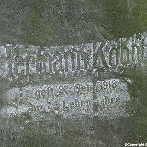 Koblitz Hermann