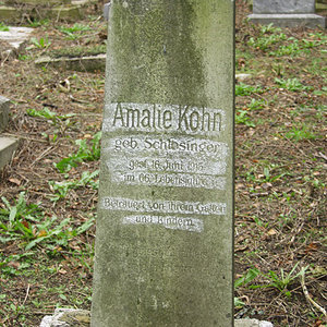 Kohn Amalie