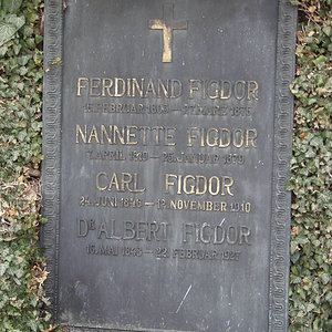 Figdor Ferdinand