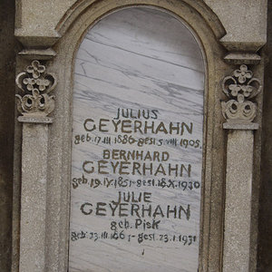 Geyerhahn Julius