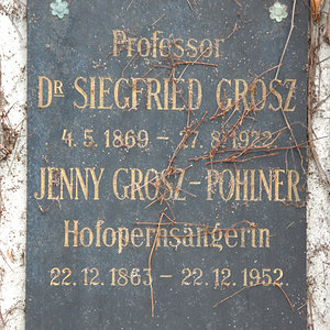 Grosz Siegfried Dr.