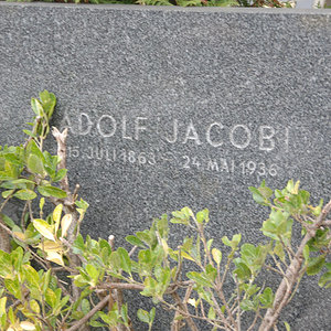 Jacobi Adolf