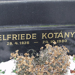 Kotanyi Elfriede