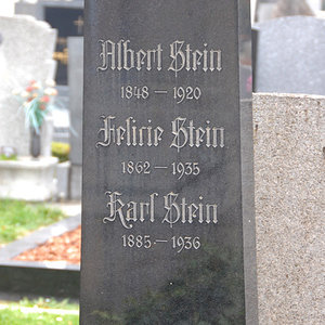 Stein Albert