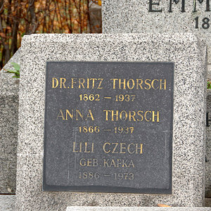 Thorsch Fritz Dr.