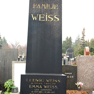 Weiss Ludwig