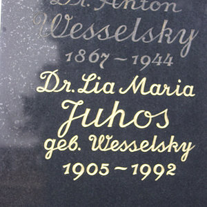 Wesselsky Anton Dr.