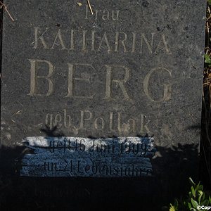Berg Katharina