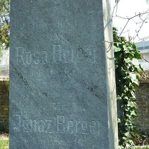 Berger Rosa