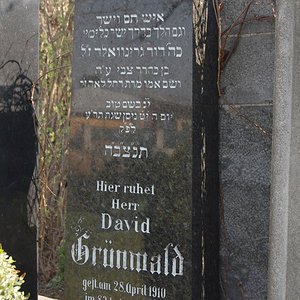 Grünwald David