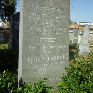 Grünwald Julie
