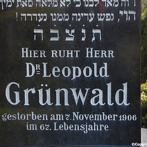 Grünwald Leopold Dr.