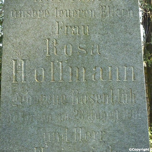Hoffmann Rosa
