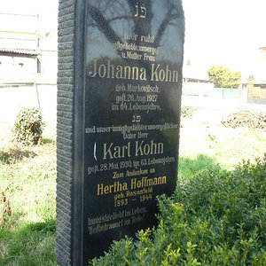 Kohn Johanna