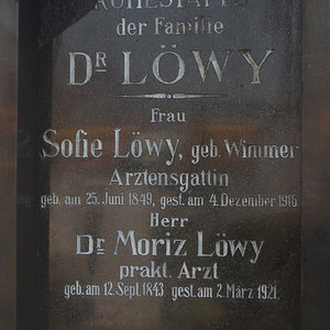 Löwy Moritz Dr.