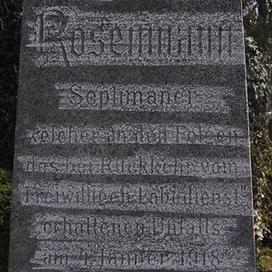Rosenmann Arthur