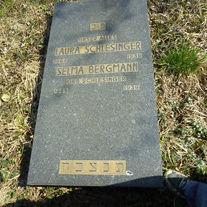Schlesinger Laura
