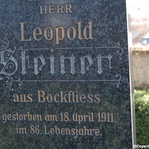 Steiner Leopold