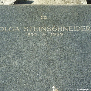 Steinschneider Olga