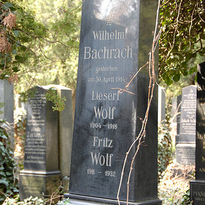 Bachrach Wilhelm