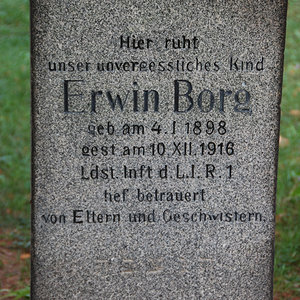 Borg Erwin