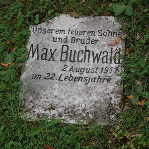 Buchwald Max